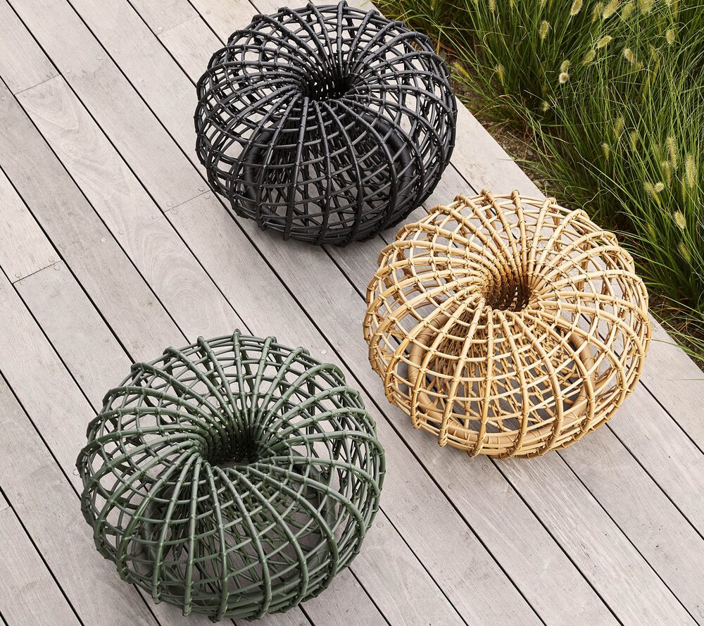 Nest in an outdoor setting