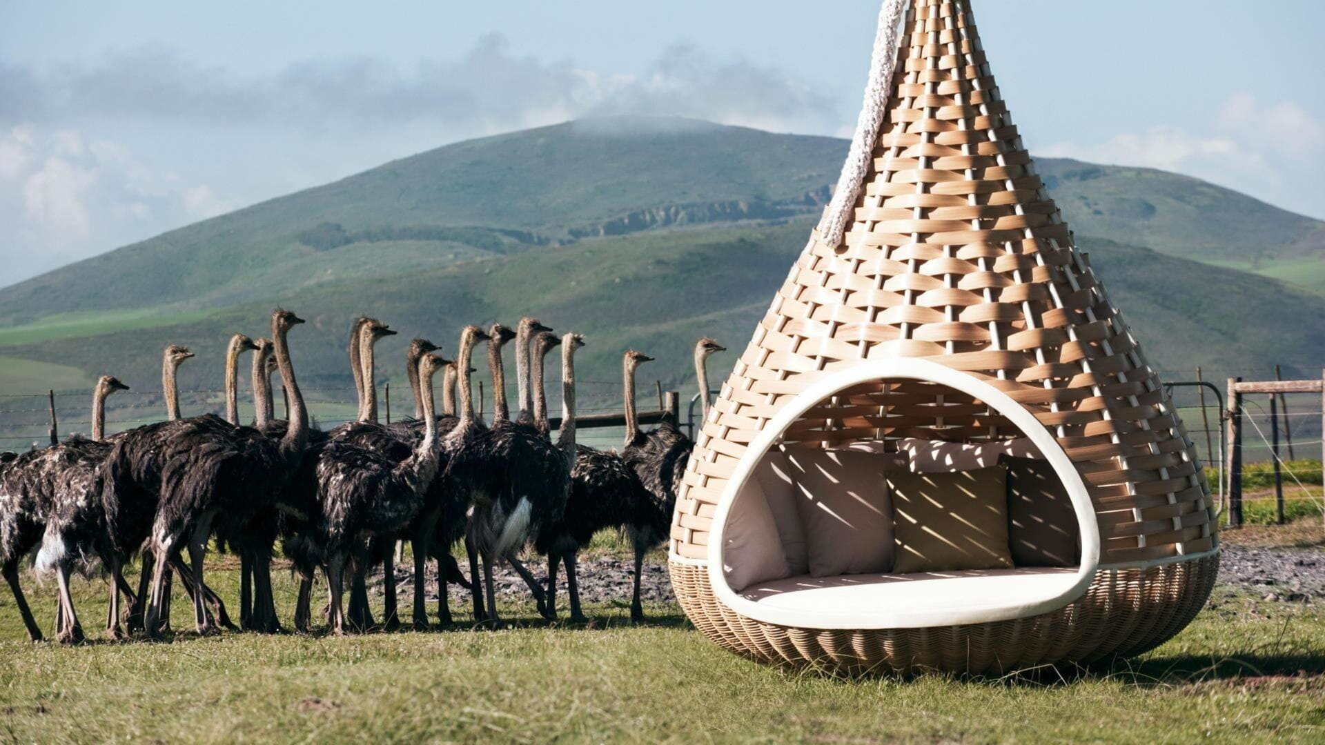 Nestrest outdoor collection by Dedon