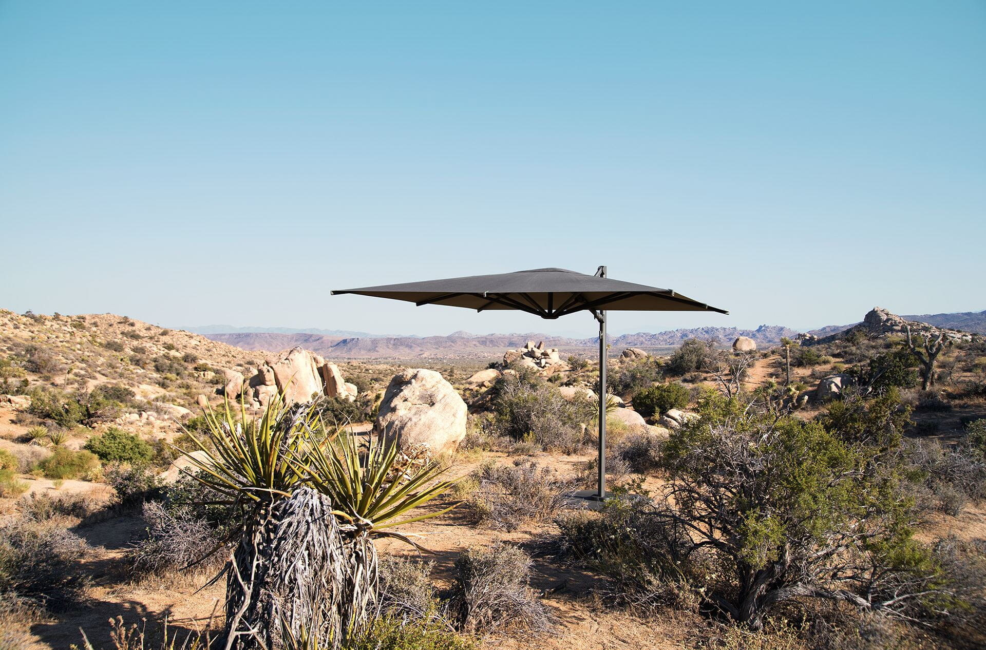 Reav by Dedon Design Studio for Dedon