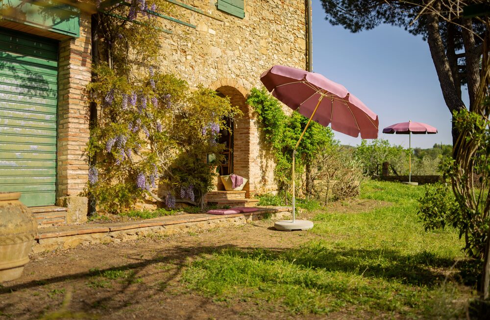 Alexo parasol in a garden by a stone house