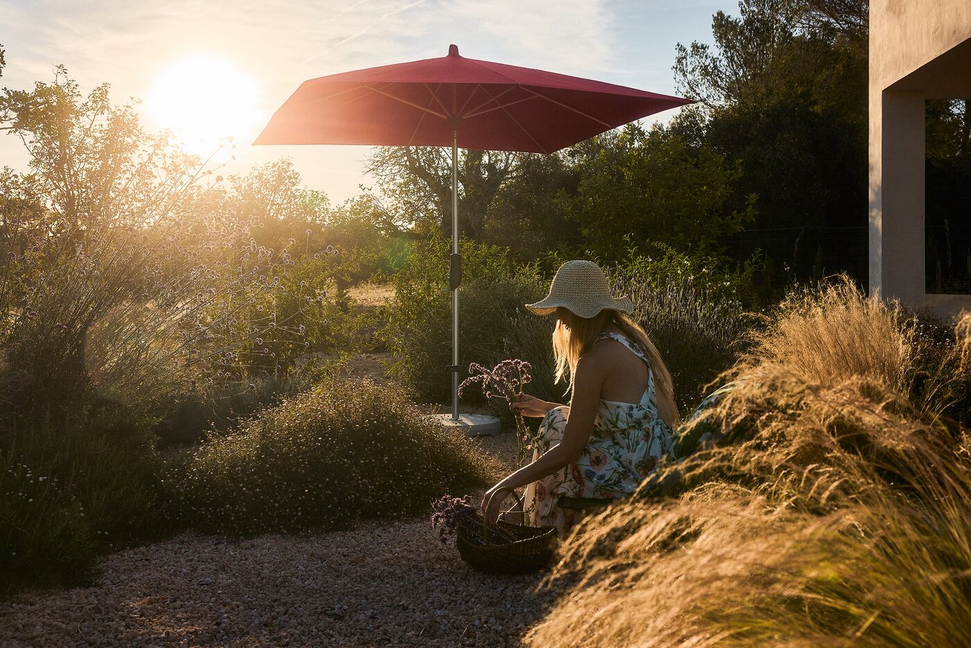 Alu-Twist parasol backlit at golden hour