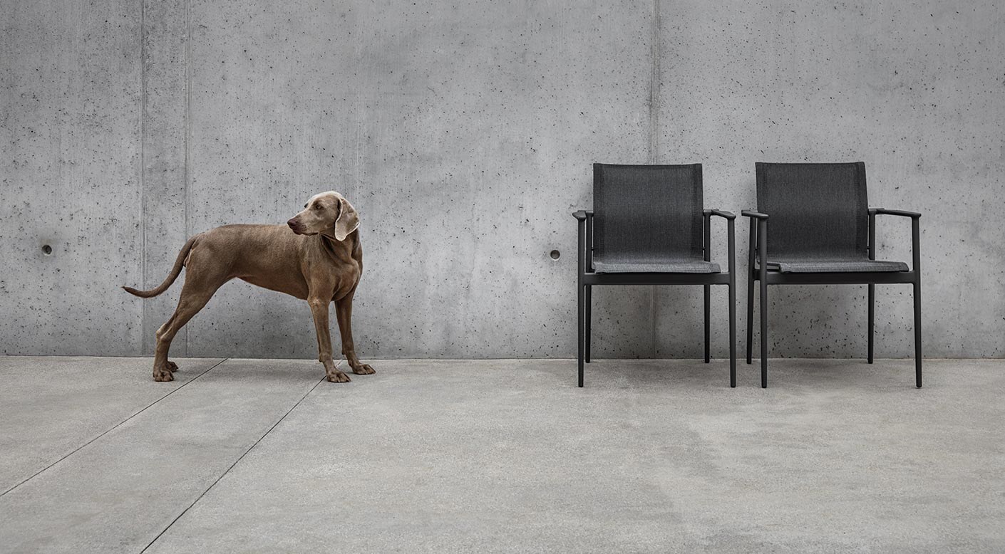 Two Gloster 180 stacking dining chairs against a concrete wall