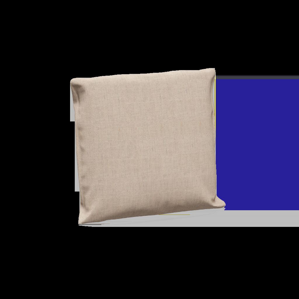 AccessorySquare Scatter Cushion
