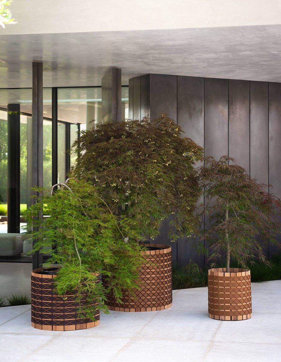 Barrique · view 4