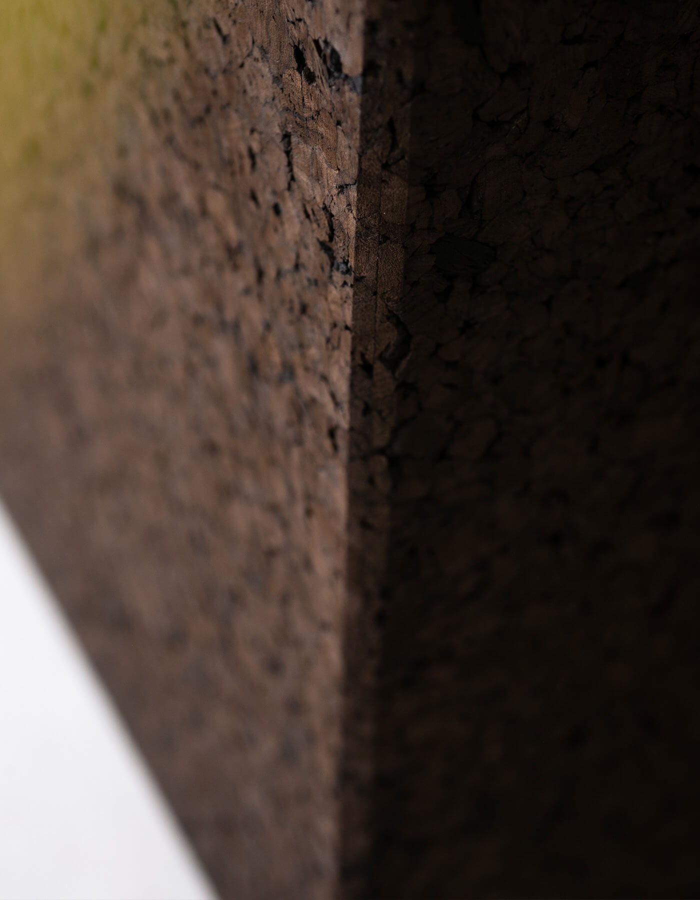 Cortica · view 5