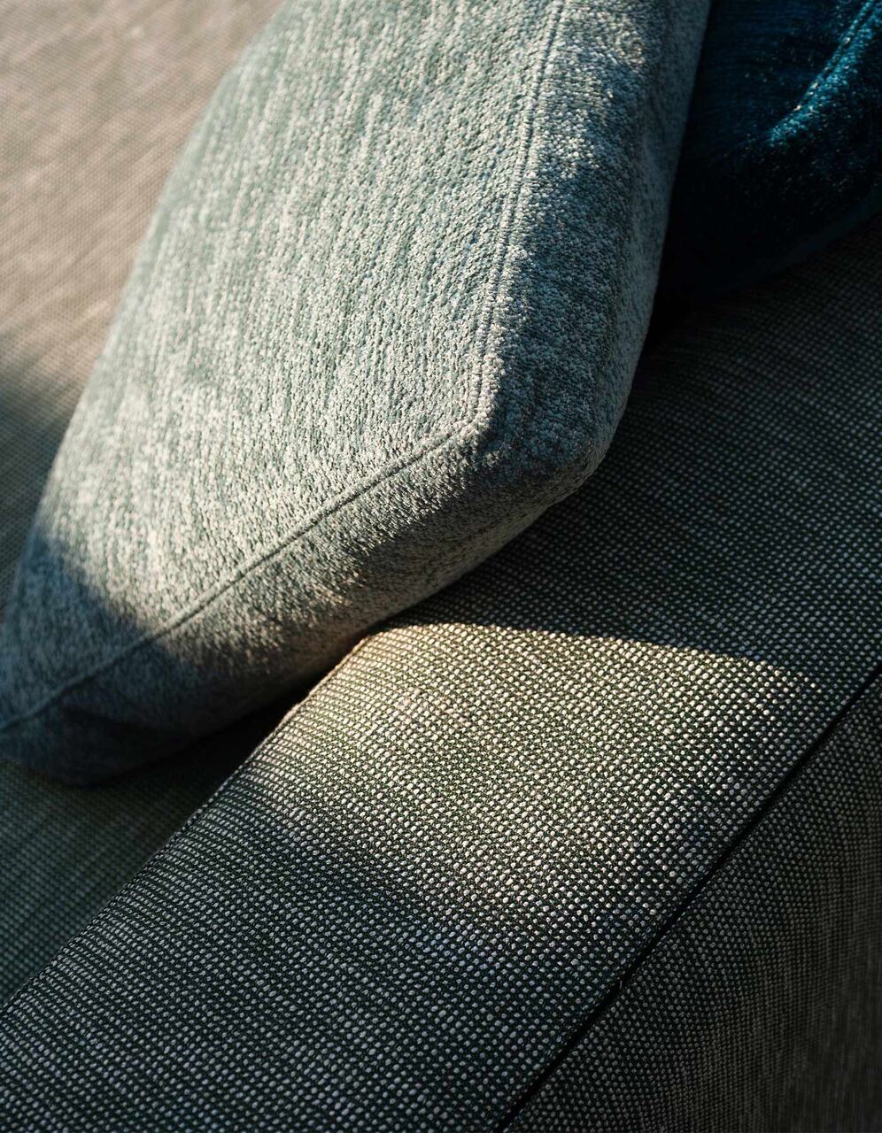 Dandy · view 4